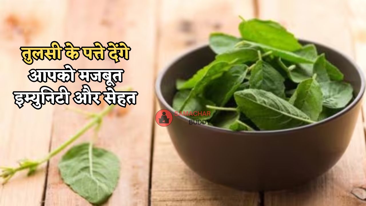 Basil Leaves Benefits