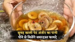 Fig Water : सुबह खाली पेट अंजीर का पानी पीने के फायदे