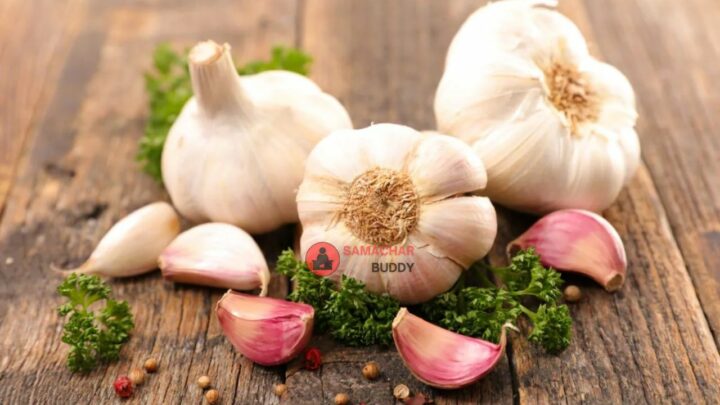 Garlic Health Benefits
