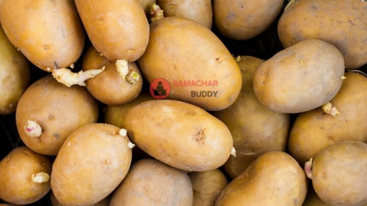 Health Benefits of Boiled Potato
