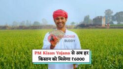 PM Kisan Yojana: ₹6000 हर किसान को मिलेगा, जानिए कैसे करें अप्लाई!