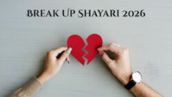 दिल के टूटने की दर्द भरी शायरी को पढ़ें और महसूस करें : Break Up Shayari 2026
