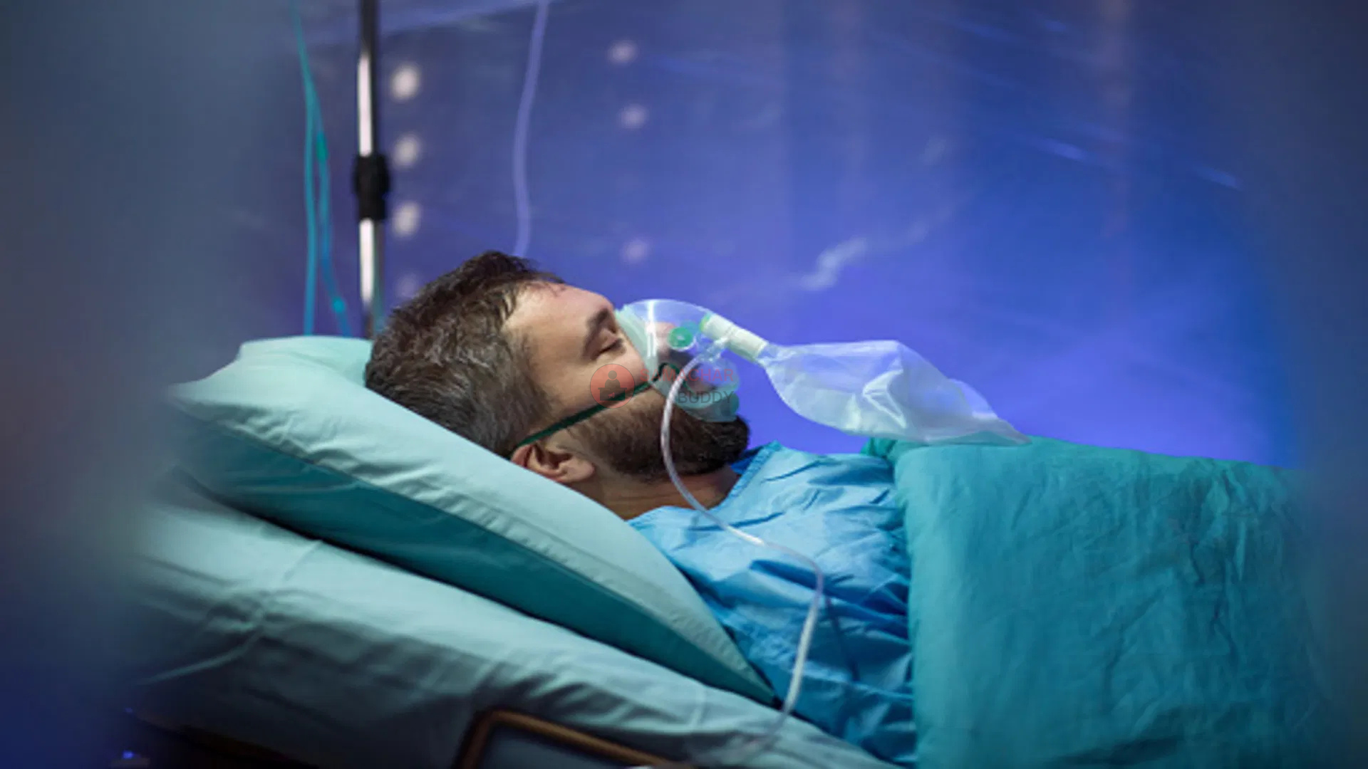 Relationship Between Life and Death