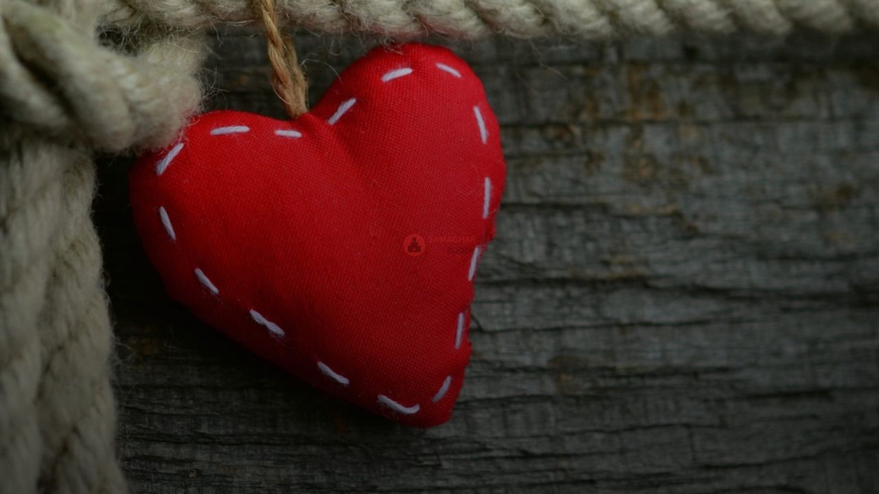 प्यार और दर्द की Shayari Collection