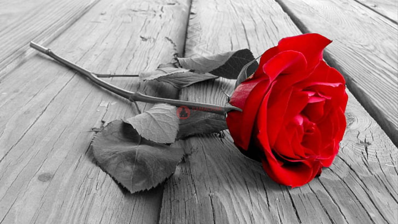 रिश्ते की सच्चाई को दिखाने वाली शायरी