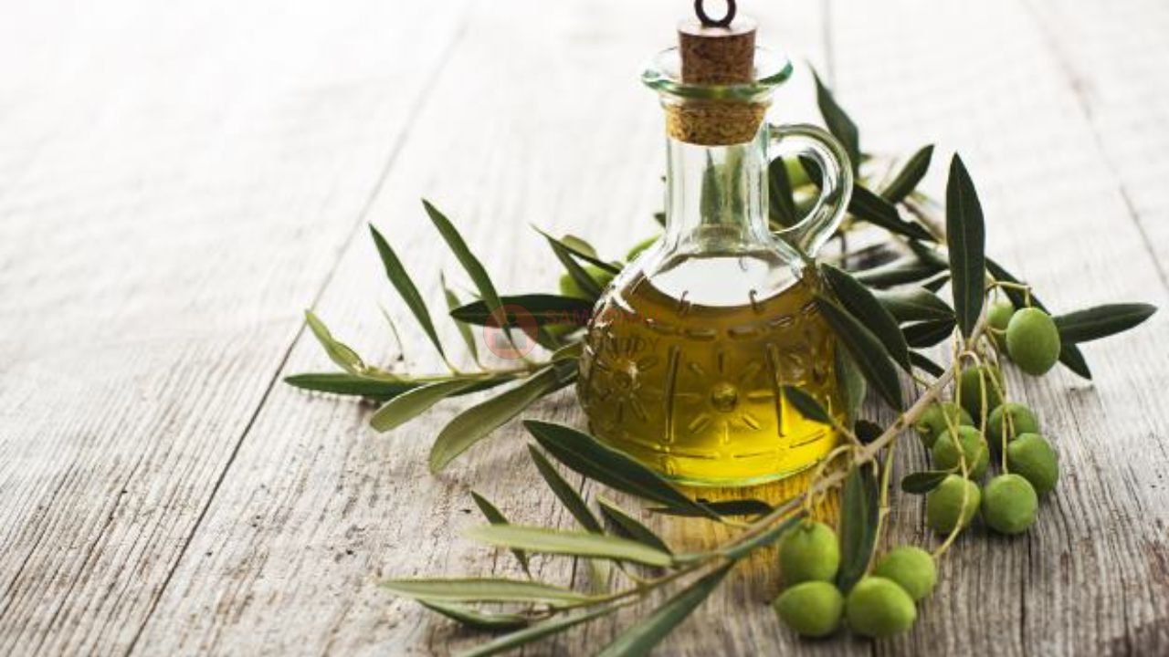 Benefits of Olive Oil