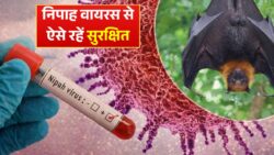केरल में Nipah Virus का खौफ! इन महीनों में जरा सी लापरवाही बन सकती है जानलेवा