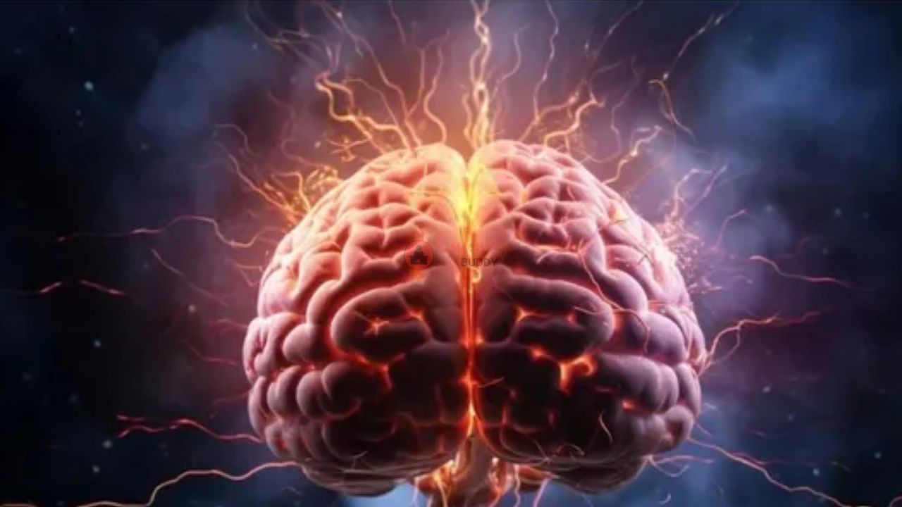 हैरान कर देने वाले facts