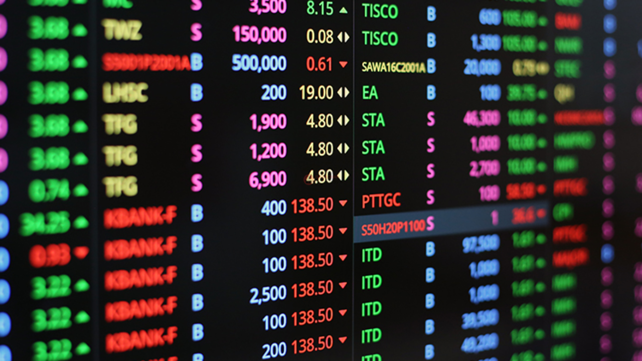 Midcap to Multibagger