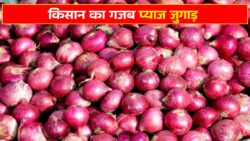 Long Lasting Onions : प्याज सड़ने से बचाने का देसी तरीका, किसान का जबरदस्त जुगाड़