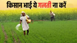 Farm Alert : खाद डालने से पहले ये जरूरी बातें जरूर जान लें