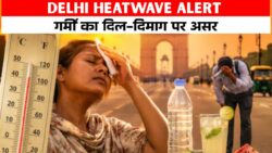 Delhi Heatwave Alert : जाने कि तेज गर्मी दिल, किडनी और दिमाग पर कैसे दबाव डालती है।